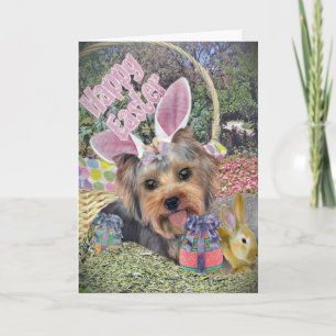 Yorkie Påskägg Hunt Cards Helgkort