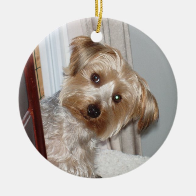 Yorkie Peeking runt hörnet Julgransprydnad Keramik (Framsidan)