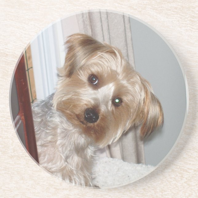 Yorkie Peeking runt hörnet Underlägg Sandsten (Framsidan)