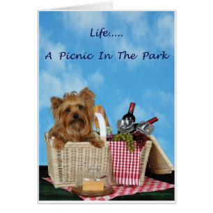 Yorkie Picnic Basket Hälsningskort