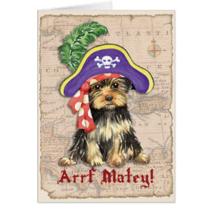 Yorkie Pirat Greeting Card Hälsningskort