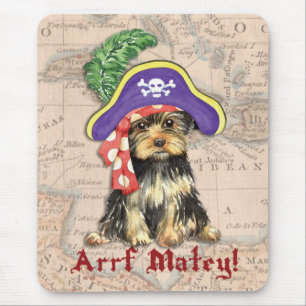 Yorkie Pirat Musmatta