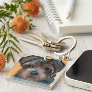 YORKIE POO
