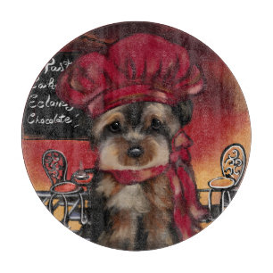 YORKIE POO