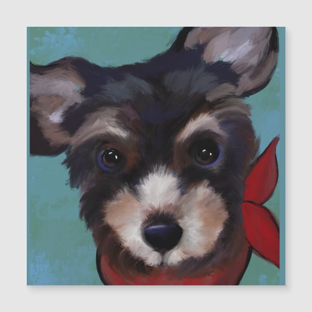 Yorkie Poo   (Framsida)