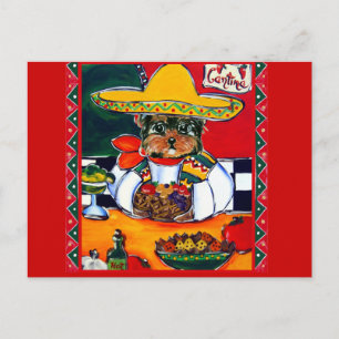 Yorkie Poo Cinco de Mayo Vykort