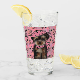 YORKIE POO GLASKOPP