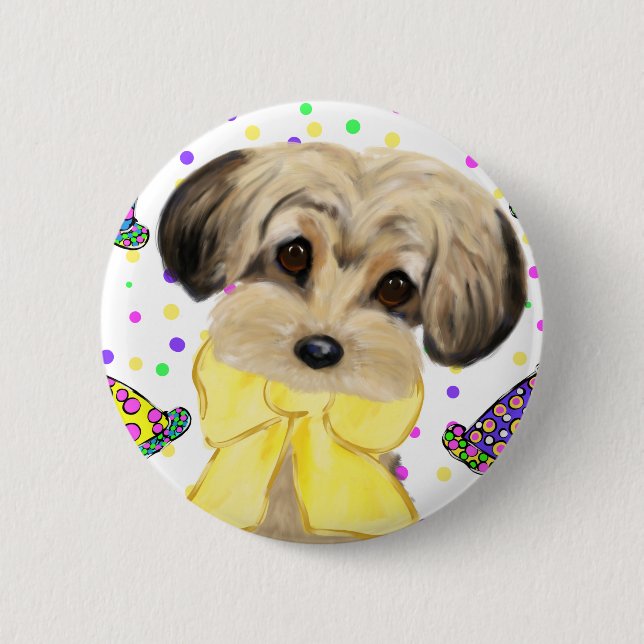 Yorkie Poo Knapp (Framsida)