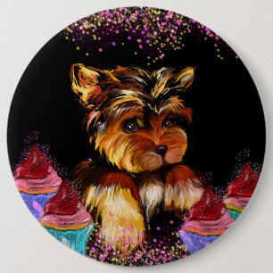 Yorkie Poo Knapp