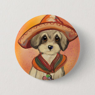 Yorkie Poo Knapp