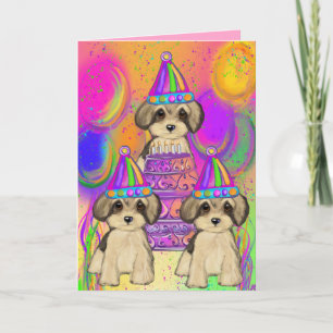 Yorkie Poo Kort