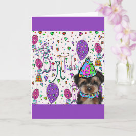 Yorkie Poo Kort