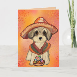 Yorkie Poo Kort