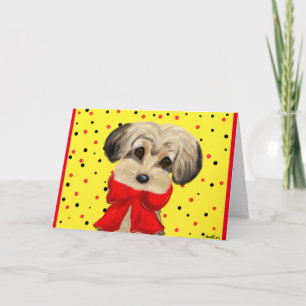 Yorkie Poo Kort