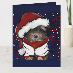 Yorkie Poo Kort