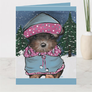 Yorkie Poo Kort