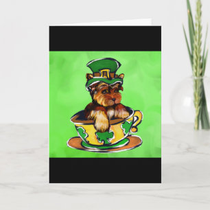 Yorkie Poo Kort