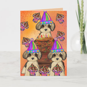 Yorkie Poo Kort