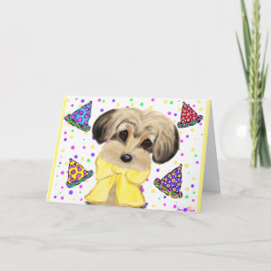 YORKIE POO KORT