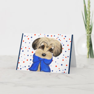 Yorkie Poo Kort