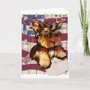 YORKIE POO KORT