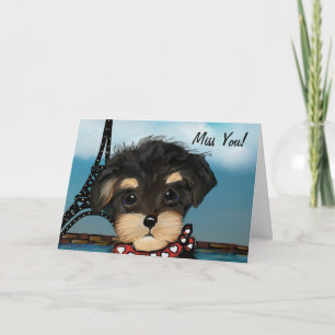 YORKIE POO KORT