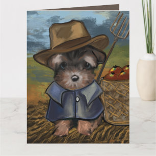 Yorkie Poo Kort