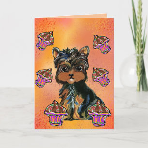 Yorkie Poo Kort