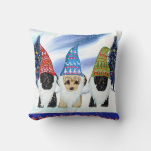 YORKIE POO KUDDE