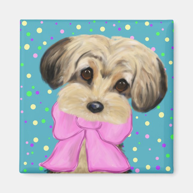 Yorkie Poo Magnet (Framsidan)