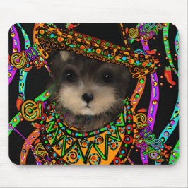 Yorkie Poo Musmatta