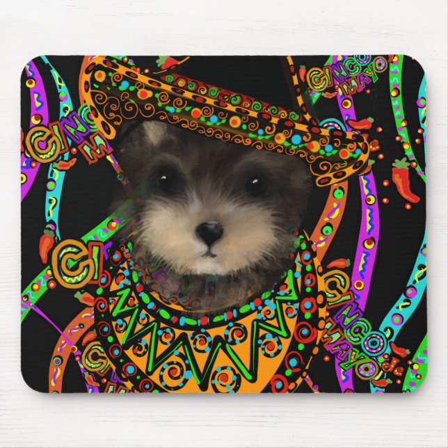 Yorkie Poo  Musmatta (Framsidan)