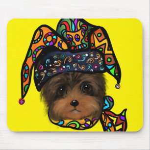 YORKIE POO MUSMATTA