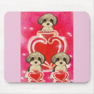 Yorkie Poo Musmatta