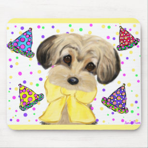 Yorkie Poo Musmatta