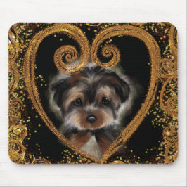 Yorkie Poo Musmatta