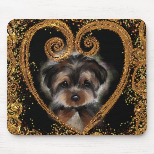 Yorkie Poo Musmatta (Framsidan)