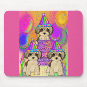 Yorkie Poo Musmatta