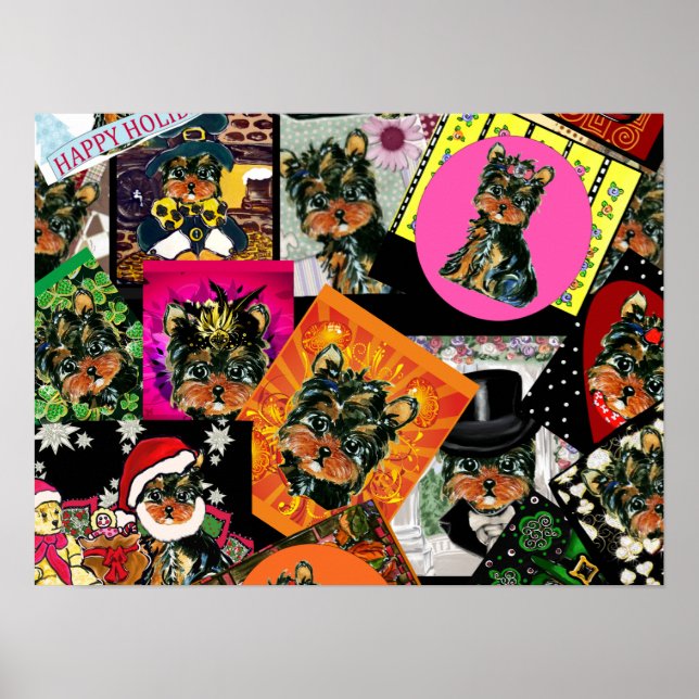 YORKIE POO POSTER (Framsidan)