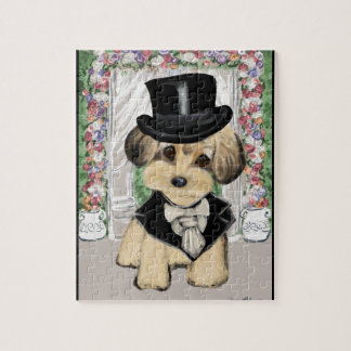 YORKIE POO PUSSEL