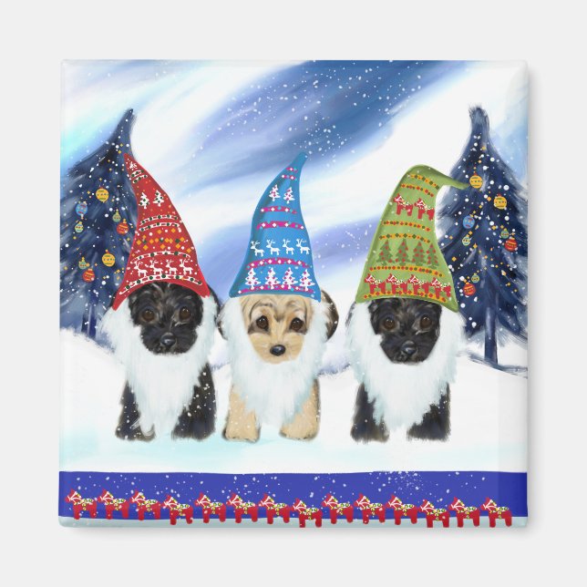 Yorkie Poo Sverige Magnet (Framsidan)