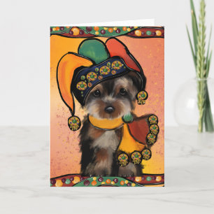 Yorkie Poo Tack Kort