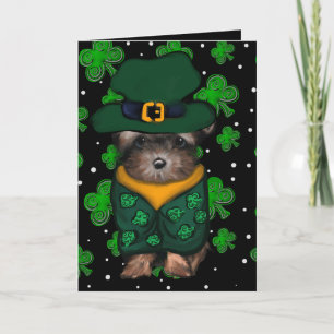 Yorkie Poo Tack Kort