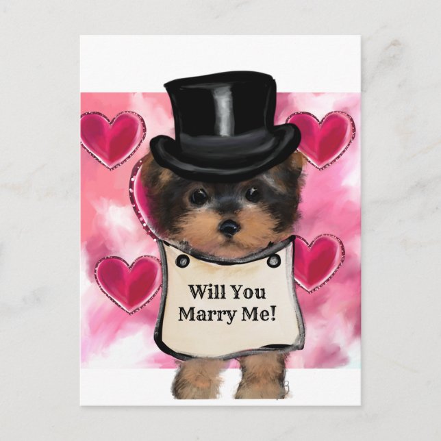 Yorkie Poo   Vykort (Framsida)