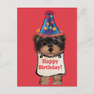 Yorkie Poo Vykort