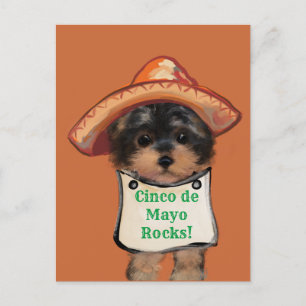 Yorkie Poo Vykort