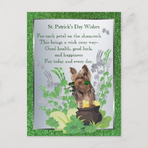 Yorkie Puppy Health Tur Happiness St patty Önskemå Vykort