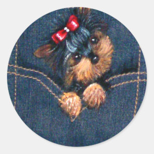 Yorkie Puppy i Pocket Runt Klistermärke