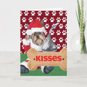 Yorkie Puppy Kiss-julkort Helgkort
