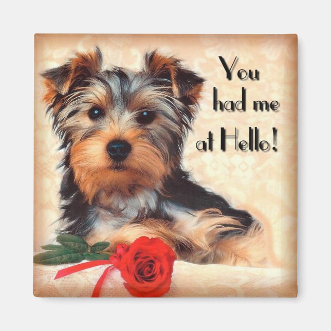 Yorkie Puppy Magnet (Framsidan)